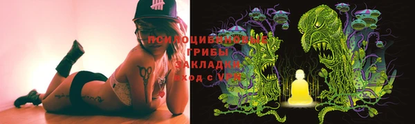спиды Алексин