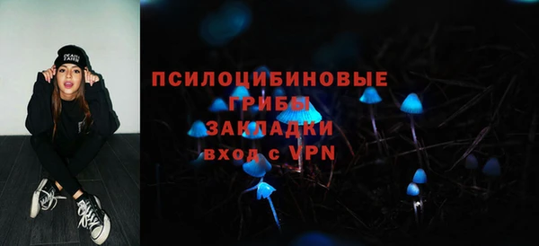 спиды Алексин